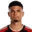 Miles Robinson